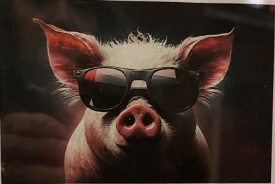 Cartoon pig with sunglasses